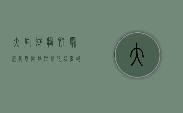 大同街疫情最新消息，防控形势依然严峻，专家建议科学应对