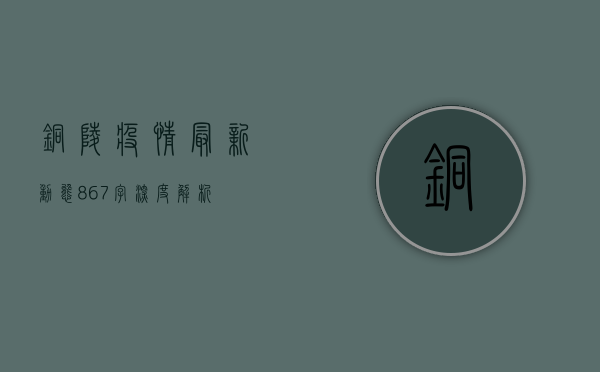 铜陵疫情最新动态，867字深度解析