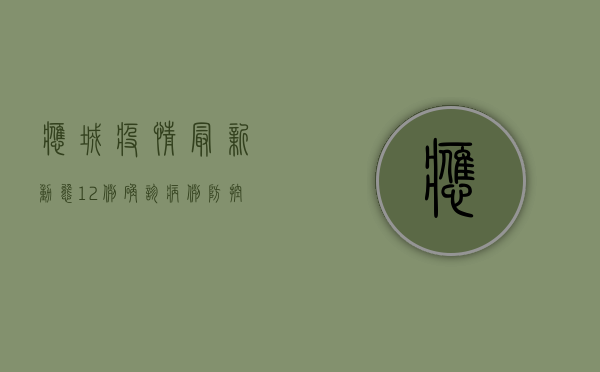 应城疫情最新动态，12例确诊病例，防控措施全面升级！