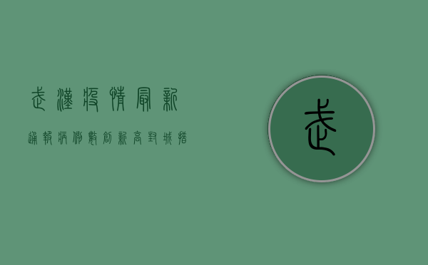 武汉疫情最新通报，病例数创新高，封城措施持续升级